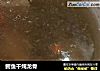 鳄鱼干炖龙骨的做法