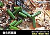 鱼头炖豆腐的做法