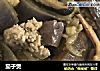 茄子煲的做法