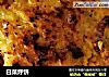 白菜烀饼的做法