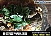 番茄鸡蛋牛肉丸汤面的做法