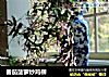 番茄菠萝炒鸡柳的做法