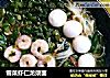 雪菜虾仁龙须面的做法