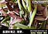 去湿补肾之  龙芽豆炒黑木耳的做法