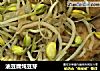 油豆腐炖豆芽的做法