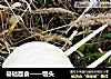 基础面食——馒头的做法