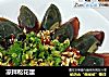 凉拌松花蛋的做法