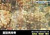 豆豉蒸排骨的做法