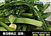 冬日绿色之  蒜香油麦菜的做法