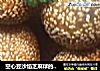 空心豆沙馅芝麻球的制作方法的做法