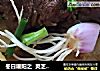 冬日暖阳之  灵芝水煮土豆牛肉的做法