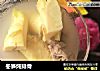 冬笋炖排骨的做法