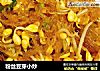 粉丝豆芽小炒的做法