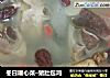 冬日暖心菜–猪肚包鸡的做法