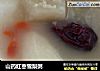 山药红枣雪梨粥的做法