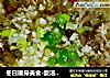 冬日暖身美食-酸汤肥牛的做法
