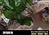 清炖排骨的做法