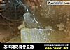 怎样炖龙骨冬瓜汤的做法