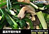 韭菜平菇炒海米的做法