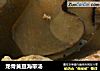 龙骨黄豆海带汤的做法