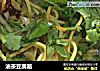 油茶豆腐脑的做法