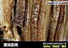 蕨菜扣肉的做法