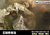 石斛排骨汤的做法