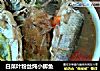 白菜叶粉丝炖小鲫鱼的做法