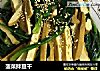 菠菜拌豆干的做法