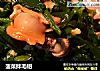 菠菜拌毛蚶的做法
