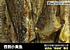 香煎小黄鱼的做法