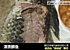 清蒸鲫鱼的做法