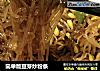 简单版豆芽炒粉条的做法