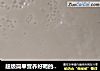 超级简单营养好喝的糯米小米糊糊的做法