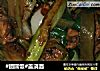 盖浇面的做法