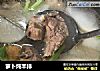 萝卜炖羊排的做法