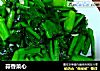 蒜香菜心的做法