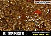 四川重庆杂酱面酱 一直独爱的味道，成功复制原版的做法
