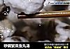 砂锅紫菜鱼丸汤的做法