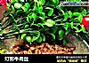 灯影牛肉丝的做法