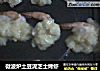 微波炉土豆泥芝士烤虾的做法