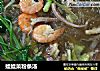 娃娃菜粉条汤的做法
