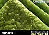 绿色春饼的做法