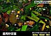 腊肉炒蒜苗的做法