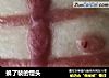换了装的馒头的做法