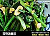蒜香油麦菜的做法