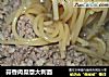 蒜香肉糜意大利面的做法