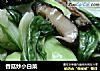 香菇炒小白菜的做法