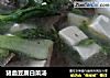 猪血豆腐白菜汤的做法