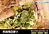 羊排炖白萝卜的做法